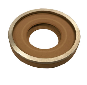Leybold Shaft Seal, PTFE, 25 x 47 x 7, Part# 310121